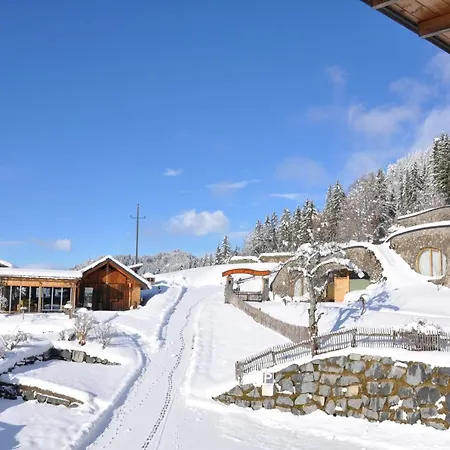 Apartment Erdhaeuser Und Mit Seeblick Und Alleinlage Weissensee